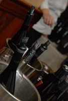 Balaton Borgaléria borbemutató