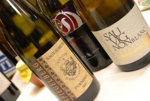 Balaton Borgaléria borbemutató