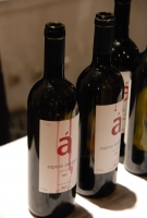 Soproni borvidék bemutatója 2009.