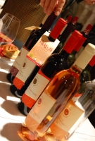 Soproni borvidék bemutatója 2009.