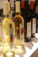 Soproni borvidék bemutatója 2009.