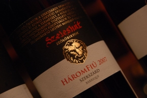 Szeleshát Borbemutató