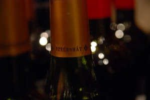 Szeleshát Borbemutató