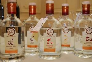 A rajnai rizling útjai