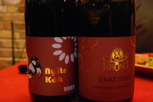 Underground borkóstoló