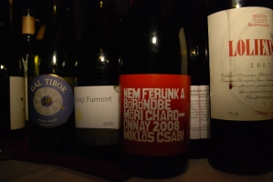 Az Év Fiatal Borászai 2010.