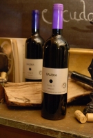 Sauska borvacsora a Symbolban