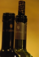 St. Andrea archívum