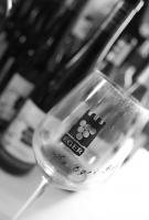 Egri Borok az Akadémián