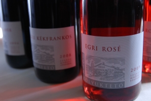 Egri Borok az Akadémián