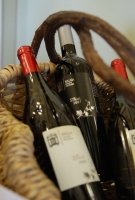 Egri Borok az Akadémián