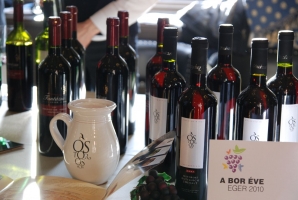 Egri Borok az Akadémián