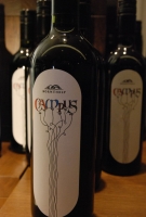 Szekszárd a Bortársaságnál