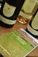 Rajna rizlingek és a döbbenet