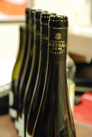 Rajna rizlingek és a döbbenet