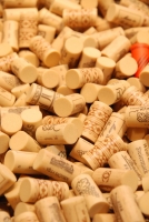 AGRÁR-MASHEXPO, Magyar Kert, Szőlészet és Pincészet kiállítás