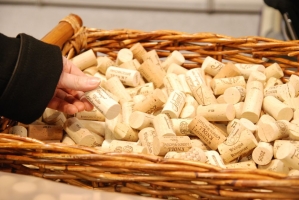 AGRÁR-MASHEXPO, Magyar Kert, Szőlészet és Pincészet kiállítás