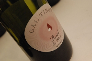 Gál Tibor borvacsora a Nebroban