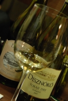 Bemutatkozott a Disznókő