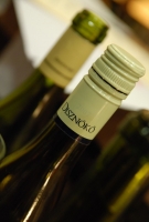 Bemutatkozott a Disznókő