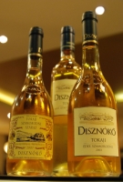 Bemutatkozott a Disznókő