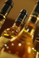 Bemutatkozott a Disznókő