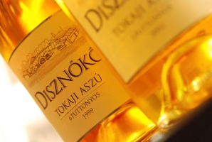 Bemutatkozott a Disznókő