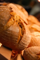 Csodálatos kávé kiállítás