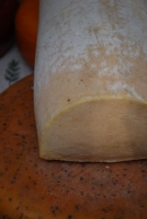 Balatoni Borok Fesztiválja 2010