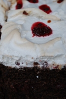 Balatoni Borok Fesztiválja 2010