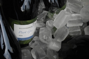 Balatoni Borok Fesztiválja 2010