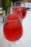 Balatoni Borok Fesztiválja 2010