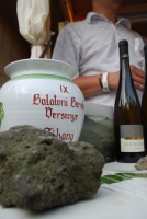 Balatoni Borok Fesztiválja 2010