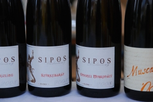 Véget ért a Budai Gourmet