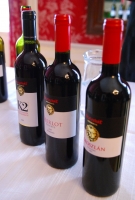 Borok és borászok Szekszárdról