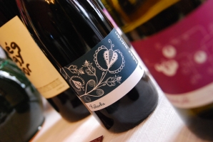 Borok és borászok Szekszárdról