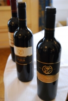 Borok és borászok Szekszárdról