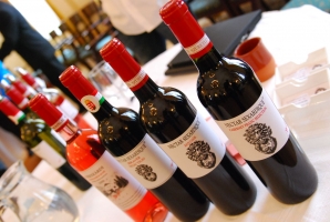 Borok és borászok Szekszárdról