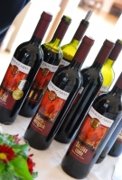 Borok és borászok Szekszárdról