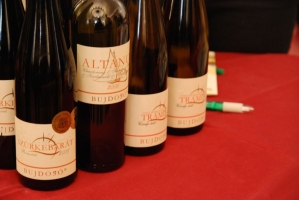 Borturizmus egy börzén