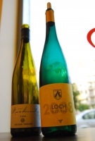 Németországból és hazánkból ízelítő