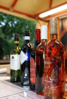 Pannon Bországgyűlés 2010