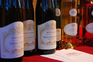 Pannon Bországgyűlés 2010