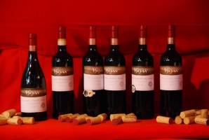 Pannon Bországgyűlés 2010