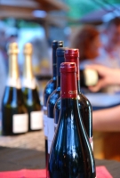 Pannon Bországgyűlés 2010