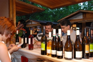 Pannon Bországgyűlés 2010