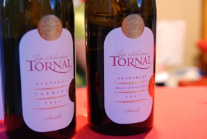 Pannon Bországgyűlés 2010