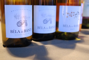 Pannon Bországgyűlés 2010