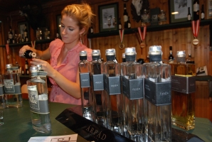 Pannon Bországgyűlés 2010