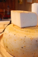 Pannon Bországgyűlés 2010